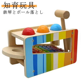 とんかち遊び ボール落とし 音の出るおもちゃ 名入れ パウンド アンド タップベンチ 知育玩具 1歳 木のおもちゃ ドイツ 鉄琴 名前入り 知育 おもちゃ 木製 ハンマートイ