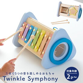 鉄琴 楽器 ドラム シロフォン 音 音のおもちゃ 森の音楽会 こする 叩く 回す ドラム シロフォン ギロ ラトル 木製 木 知育玩具 2歳 3歳 4歳 5歳 男の子 女の子 プレゼント ギフト 出産祝い 贈り物 誕生日 エドインター